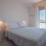 Janeiro Hotel 3*
